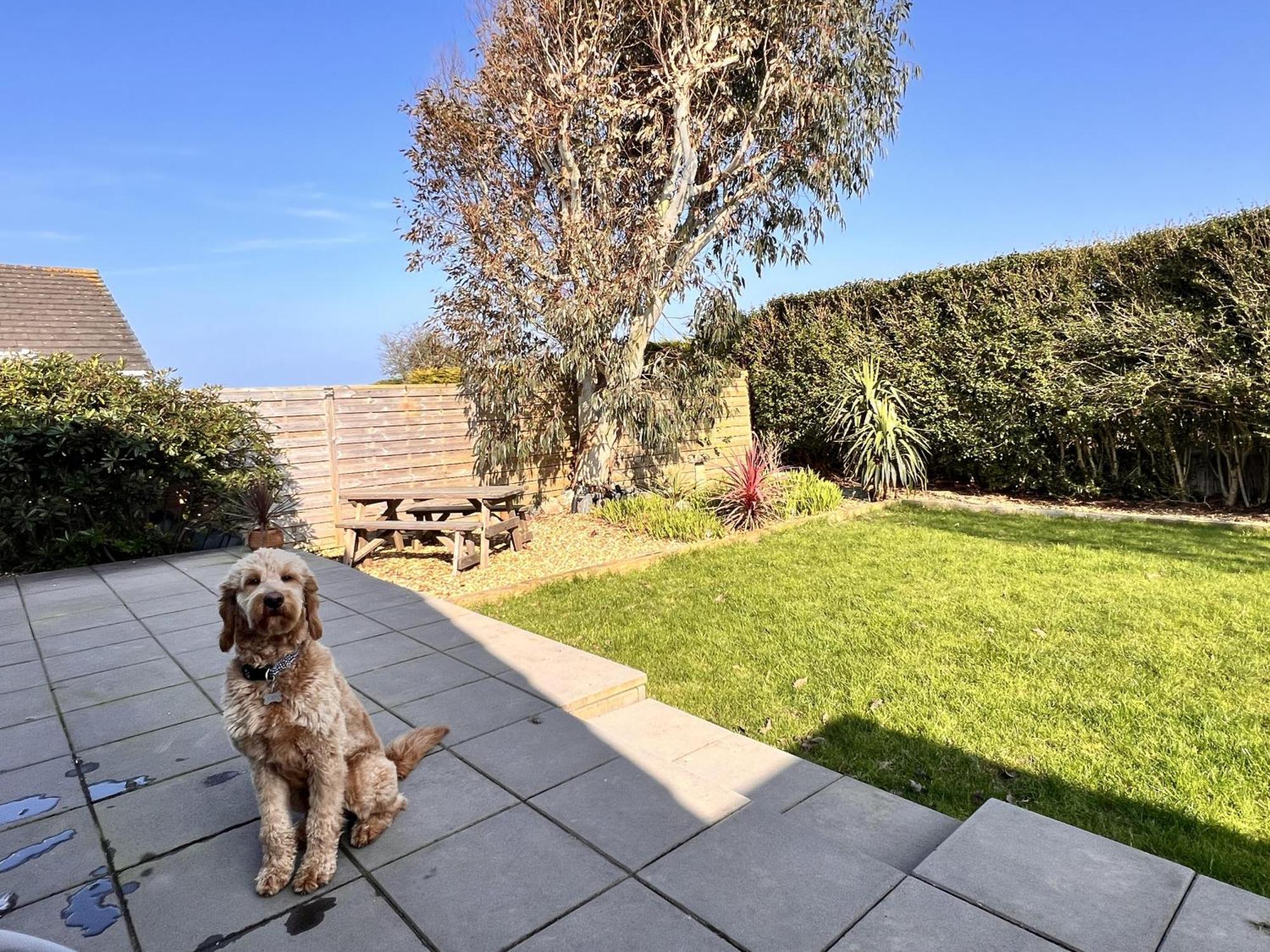 Luxurious Modern 2 Bedroom Bungalow Private Garden Holyhead Exterior foto